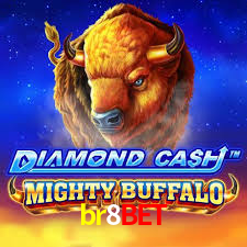 br8bet App Interface